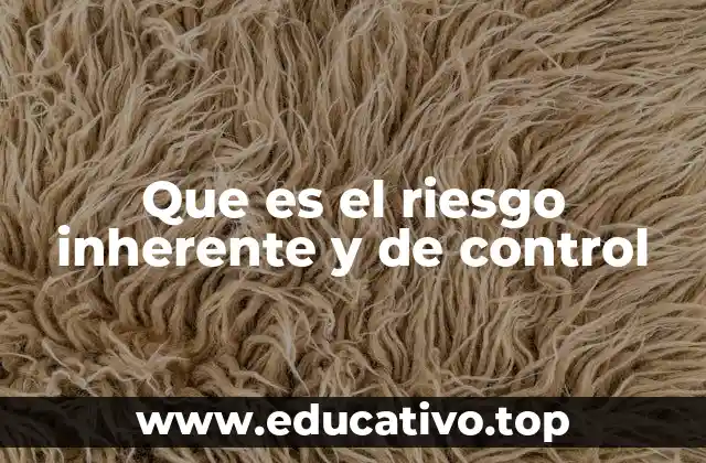 Que es el riesgo inherente y de control