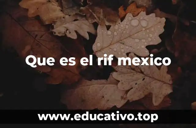 La importancia del RIF en el sistema fiscal mexicano