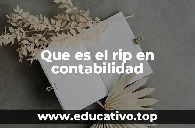 Que es el rip en contabilidad