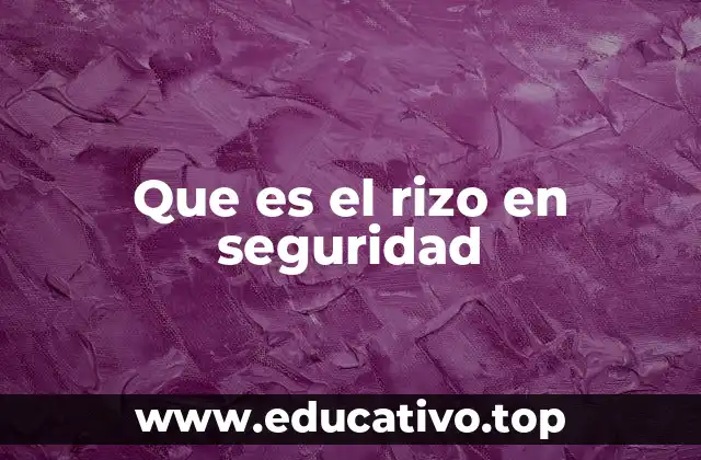 Que es el rizo en seguridad