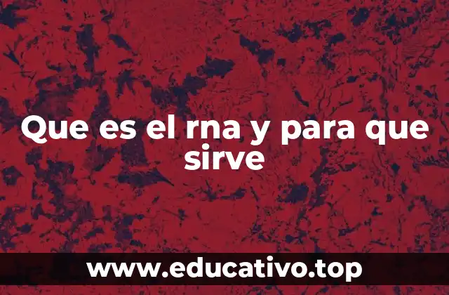 El papel del RNA en la síntesis de proteínas
