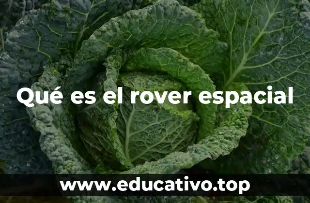 Qué es el rover espacial