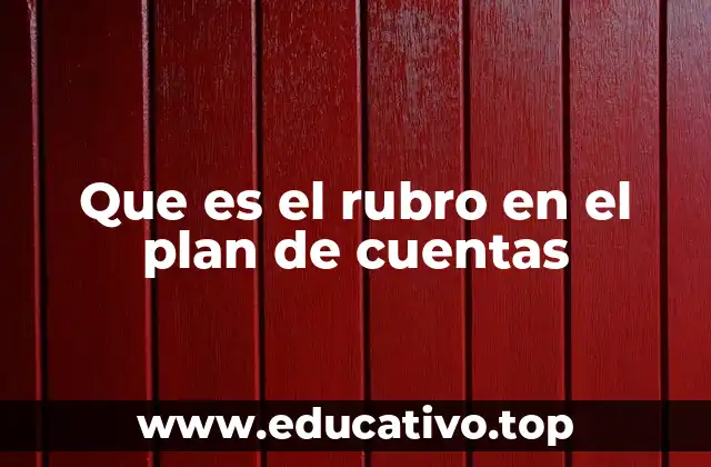 Que es el rubro en el plan de cuentas
