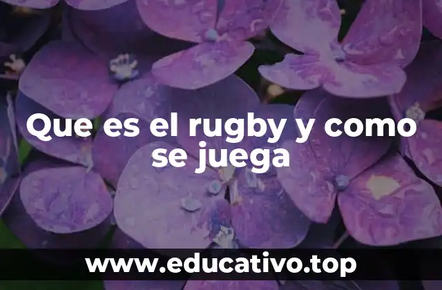 Que es el rugby y como se juega