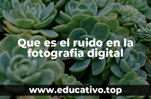 Que es el ruido en la fotografia digital