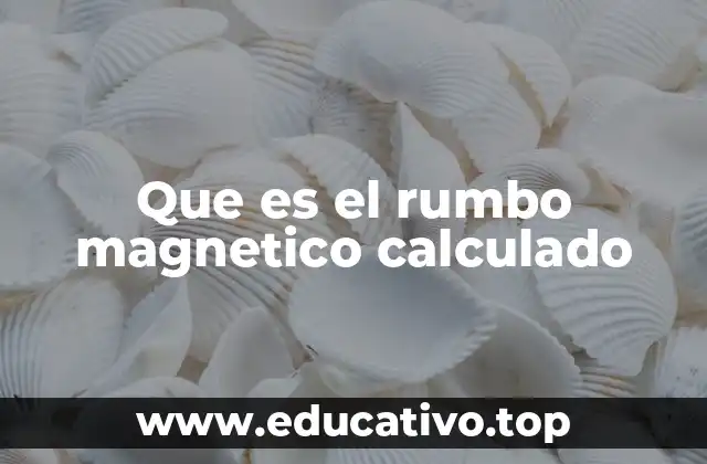 Que es el rumbo magnetico calculado