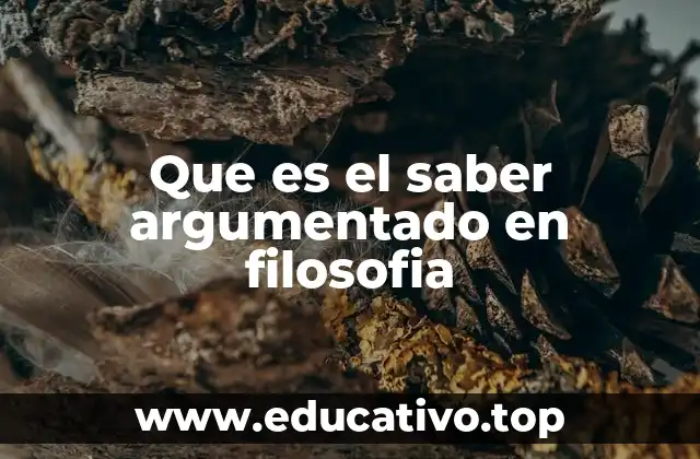 Que es el saber argumentado en filosofia