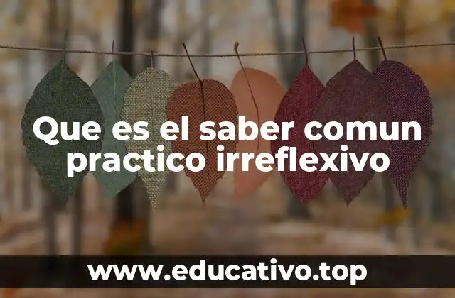 Que es el saber comun practico irreflexivo