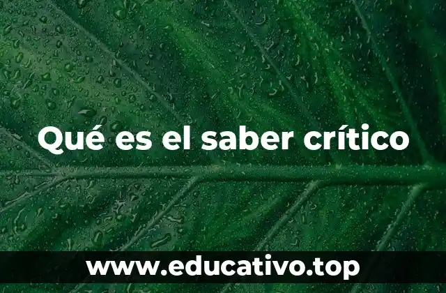 Qué es el saber crítico