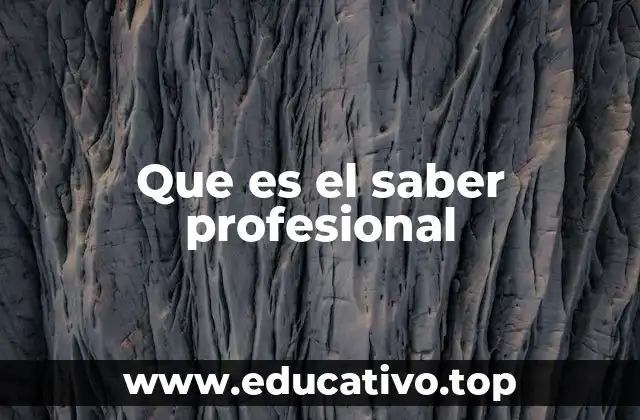 Que es el saber profesional
