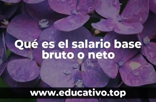 Qué es el salario base bruto o neto