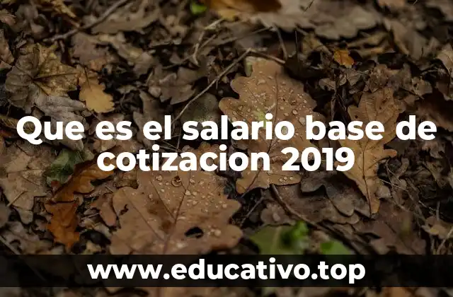 Que es el salario base de cotizacion 2019