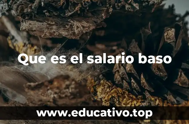 Que es el salario baso
