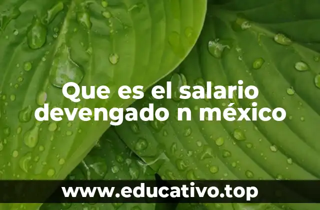 Que es el salario devengado n méxico