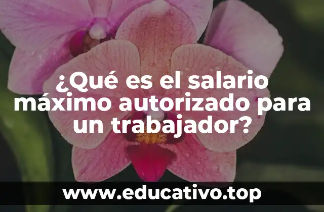 ¿Qué es el salario máximo autorizado para un trabajador?