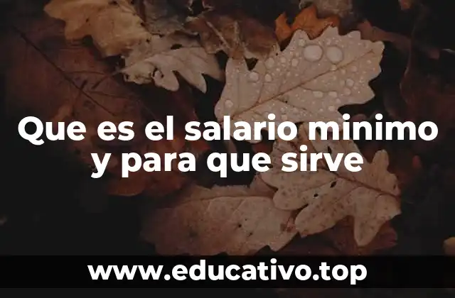 Que es el salario minimo y para que sirve