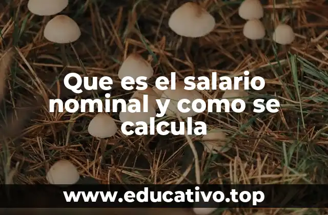 Que es el salario nominal y como se calcula