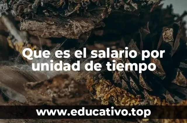 Que es el salario por unidad de tiempo