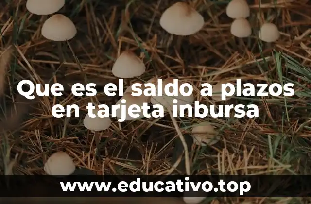 Que es el saldo a plazos en tarjeta inbursa