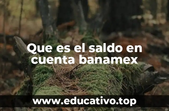 Que es el saldo en cuenta banamex