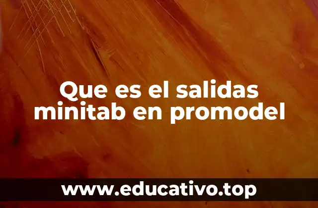 Que es el salidas minitab en promodel