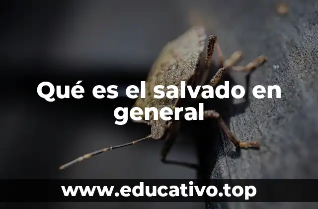 Qué es el salvado en general