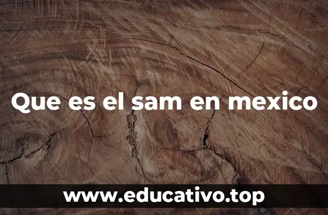 Que es el sam en mexico