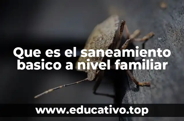 Que es el saneamiento basico a nivel familiar