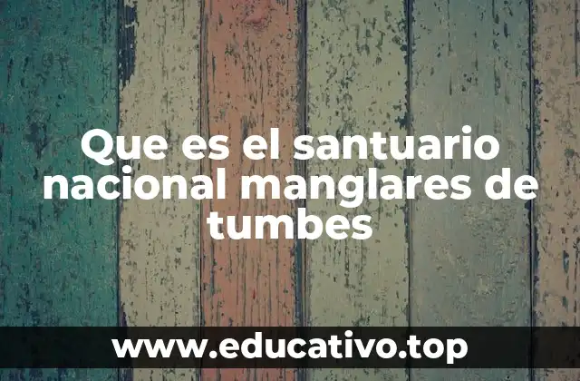 Que es el santuario nacional manglares de tumbes