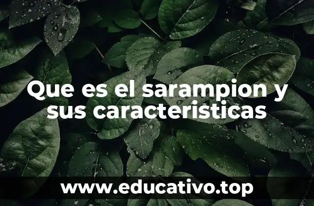 Características del virus del sarampión