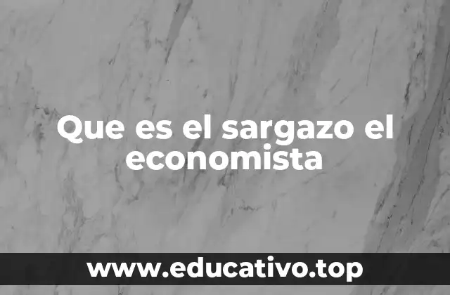 Que es el sargazo el economista