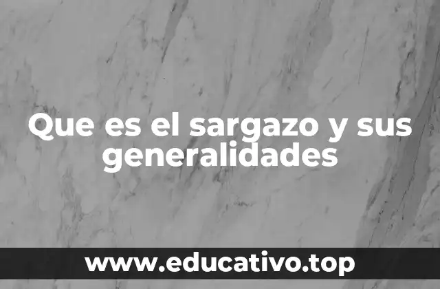 Que es el sargazo y sus generalidades