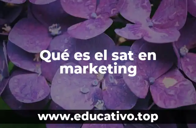 Qué es el sat en marketing