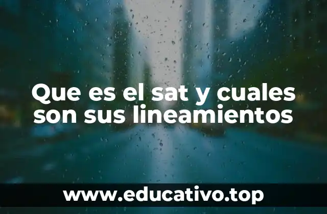 Que es el sat y cuales son sus lineamientos