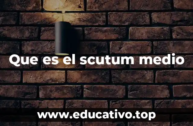 Que es el scutum medio