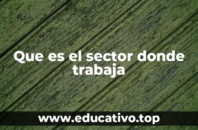 Que es el sector donde trabaja