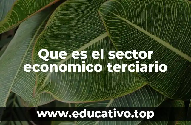 Que es el sector economico terciario