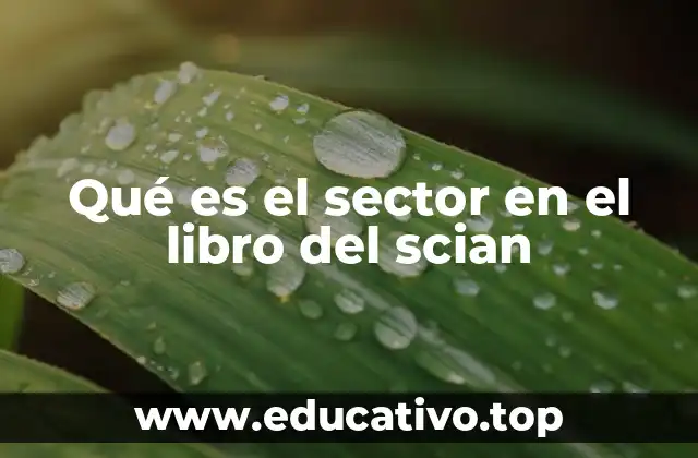 Qué es el sector en el libro del scian