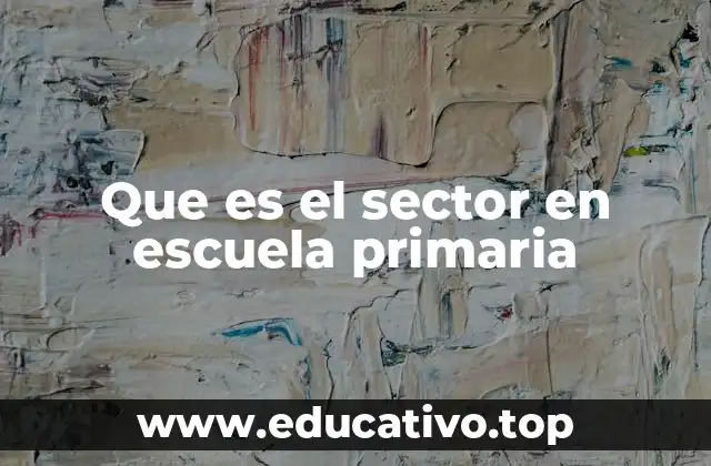 Que es el sector en escuela primaria