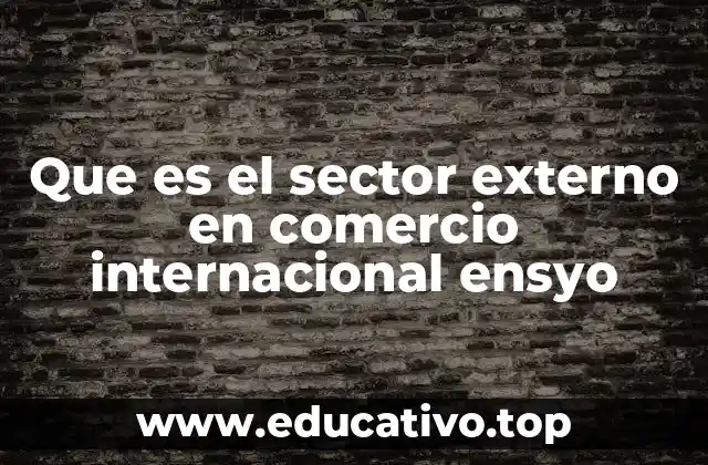 Que es el sector externo en comercio internacional ensyo