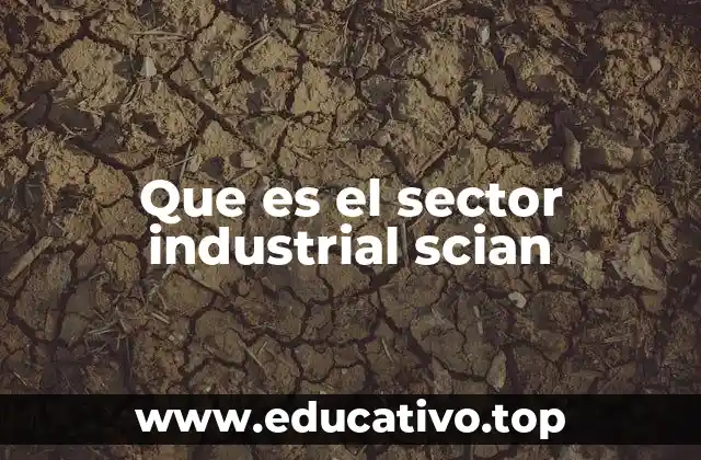 Que es el sector industrial scian