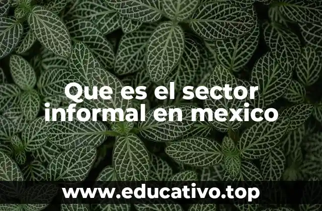 Que es el sector informal en mexico
