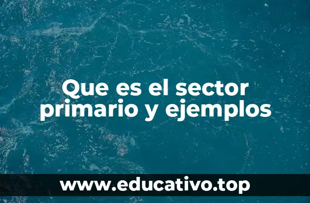 El primer eslabón de la economía