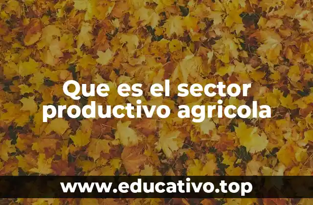 Que es el sector productivo agricola