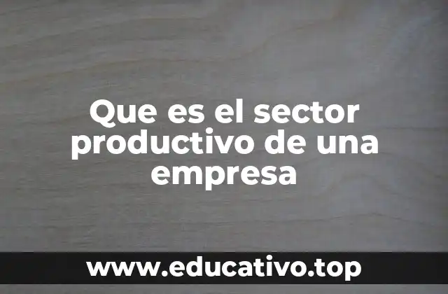 Que es el sector productivo de una empresa