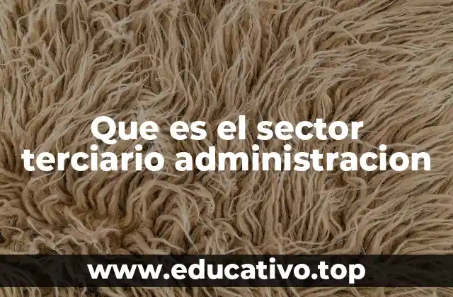 Que es el sector terciario administracion