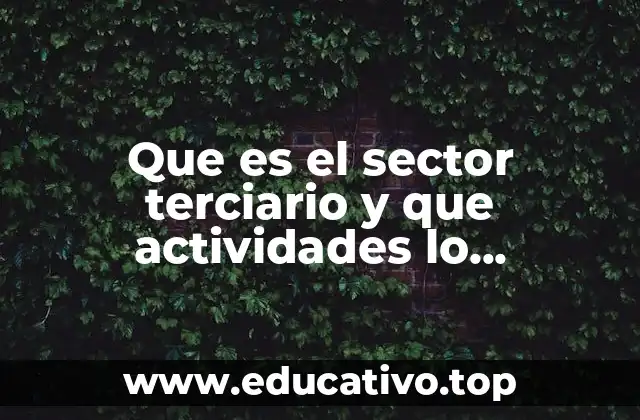 Que es el sector terciario y que actividades lo componen