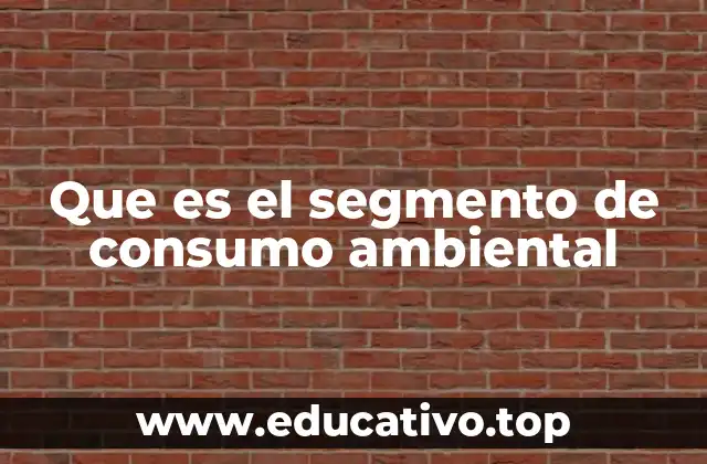 Que es el segmento de consumo ambiental