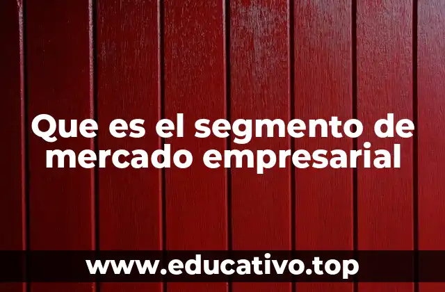 Que es el segmento de mercado empresarial