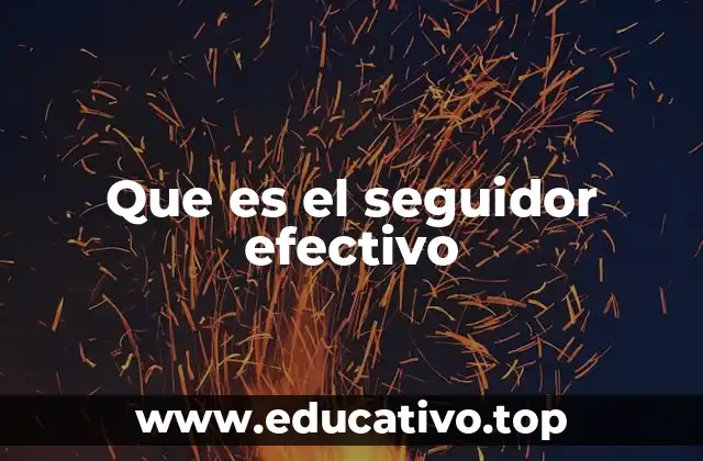 Que es el seguidor efectivo